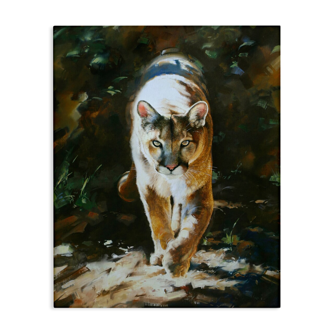 Stupell Industries Out of Shadows Panther Canvas Wall Art Design by Mark Kelso